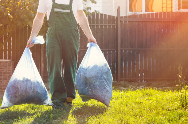 Best Electronics and E-Waste Disposal  in Belleville, WI